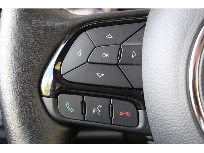 SUSCRIPCIÓNJEEP RENEGADE IMAGEN 10